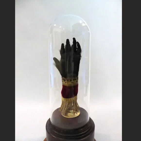 16” REAL TAXIDERMY “CURSED” MONKEY PAW HAND IN GLASS DOME DISPLAY BASE ODDITY - Picture 6 of 15